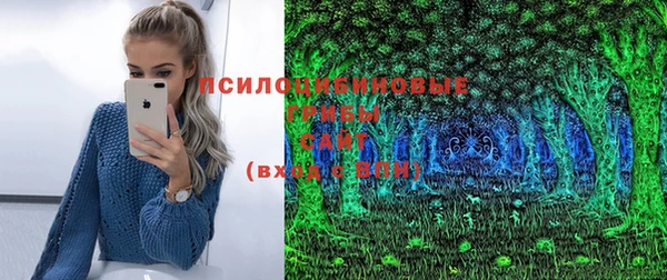 ECSTASY Медногорск