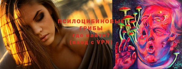 ECSTASY Медногорск