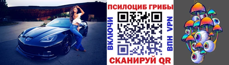 Псилоцибиновые грибы мухоморы  Купить где  Долгопрудный 